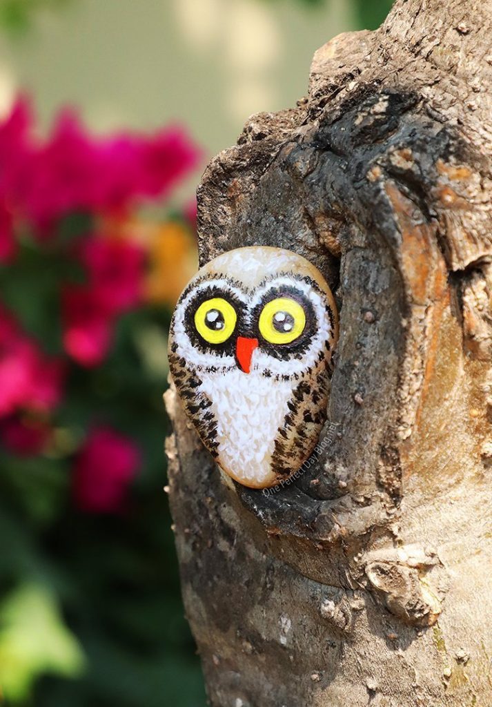 Painted rocks owls