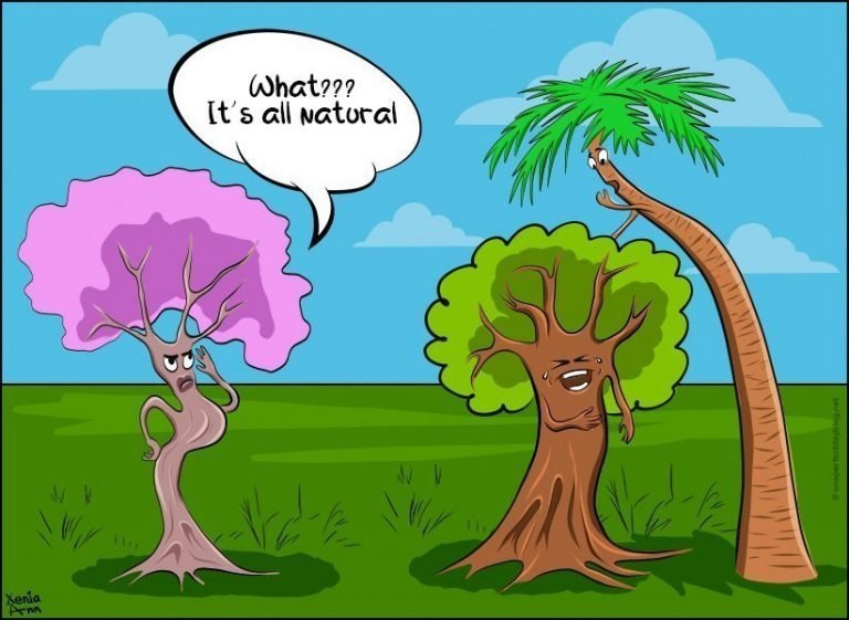 68 Funny Tree Puns and Jokes