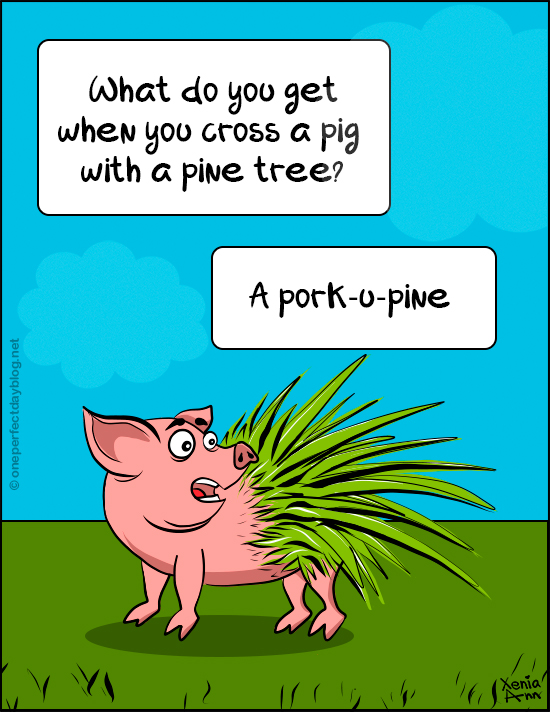 Pork u pine